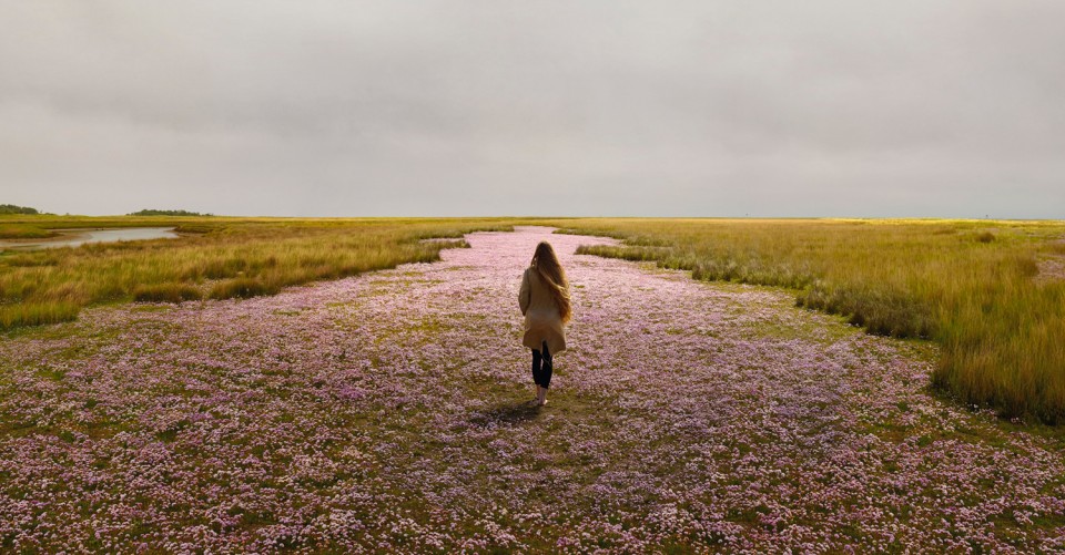 Ellenkooi schier-engelsgras srgb Ellen Kooi