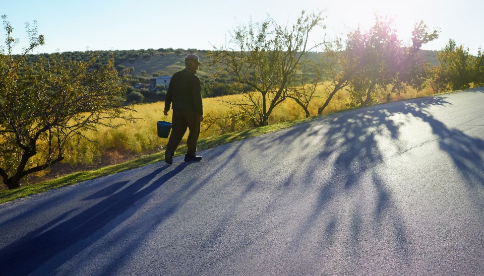 Ellenkooi zuheros - de emmer srgb Ellen Kooi