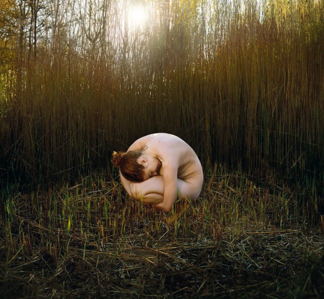 F5fo7rwt2zvxbklk2auz Ellen Kooi