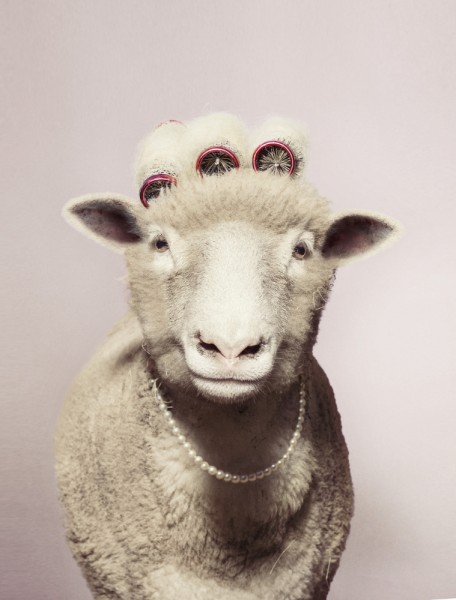 2w--2 Marijke de Gruyter