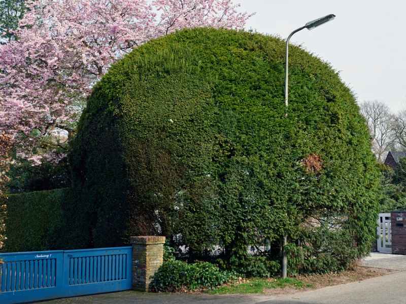 18 green fortress (2) Niels Stomps