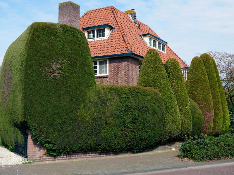 18 green fortress (3) Niels Stomps