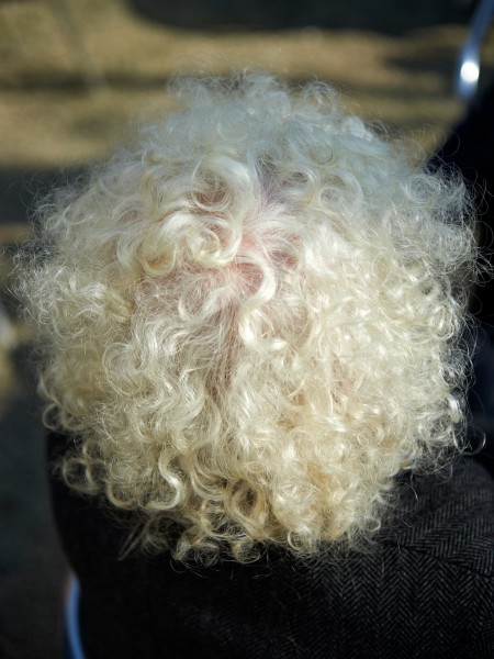 2017 sketch 01560 Niels Stomps