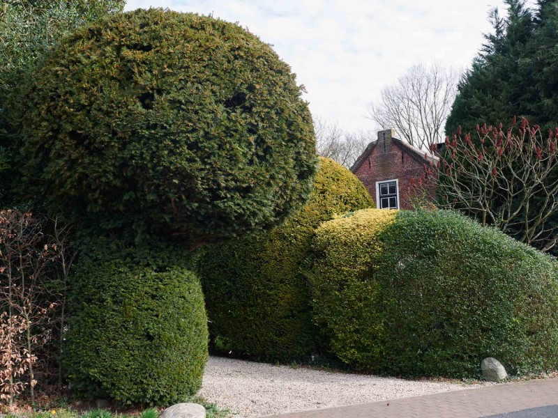 2017 sketch 0414 Niels Stomps