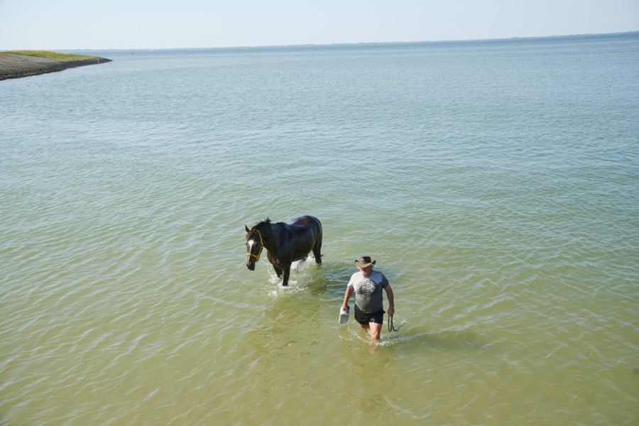 2020 vk eilandschiermonnikoog dsc6877 Niels Stomps