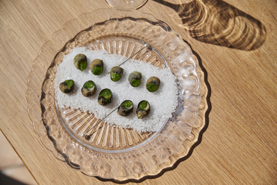 2020 vk eilandschiermonnikoog dsc7156 Niels Stomps