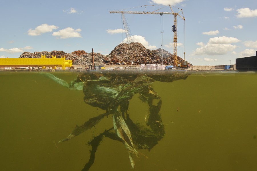 2022 nielsstomps confluens neptunushavenscrapterminal dsc8637 Niels Stomps