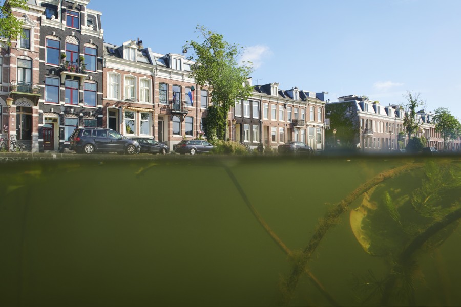 2022 nielsstomps confluens ringdijkadamoost dsc5800 Niels Stomps