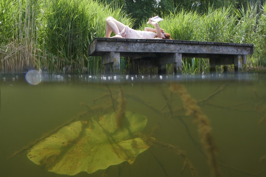 2022 nielsstomps confluens sloterplas  dsc6716 Niels Stomps