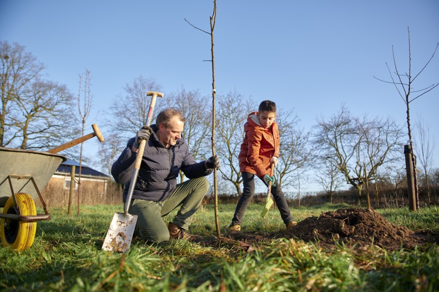 2022 talentools6620 Niels Stomps