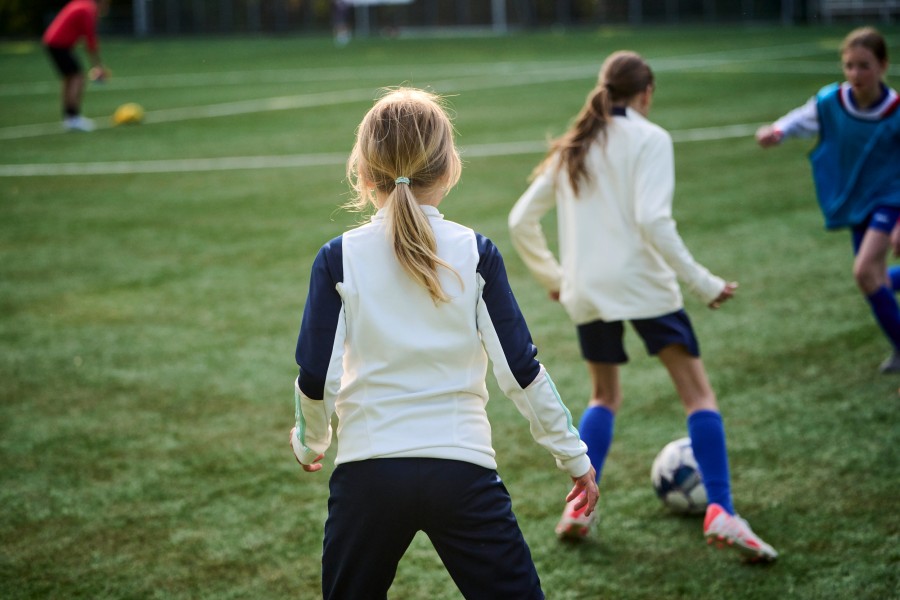 5 dsc4278 Niels Stomps