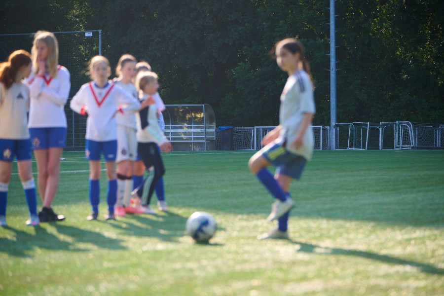 7 dsc4184 Niels Stomps