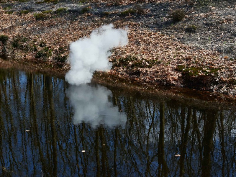  dsc22671 Niels Stomps