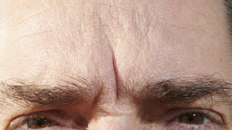  dsc2500 Niels Stomps