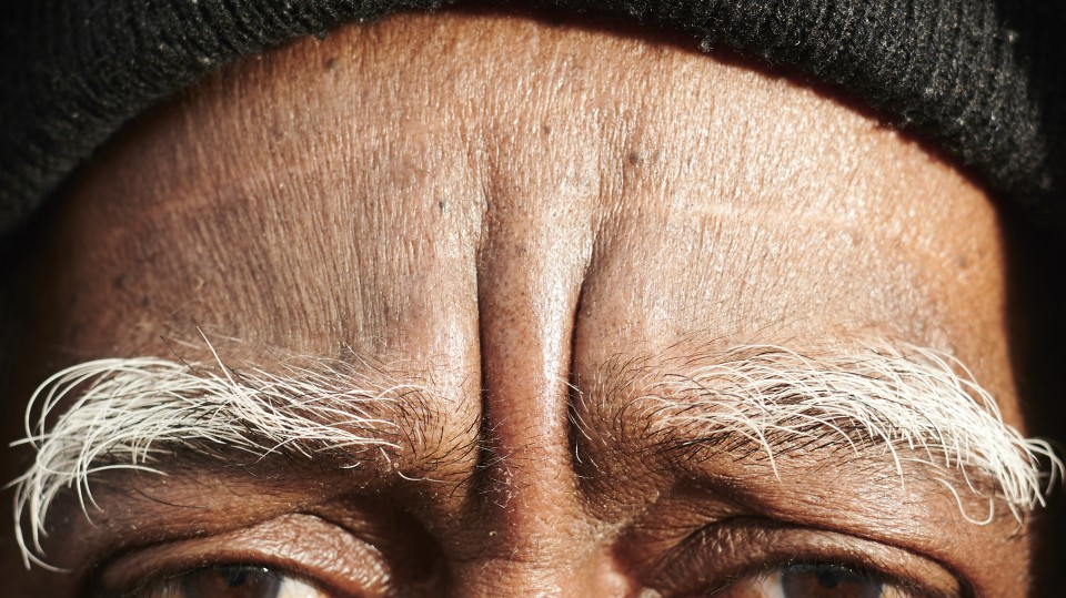  dsc2644 Niels Stomps