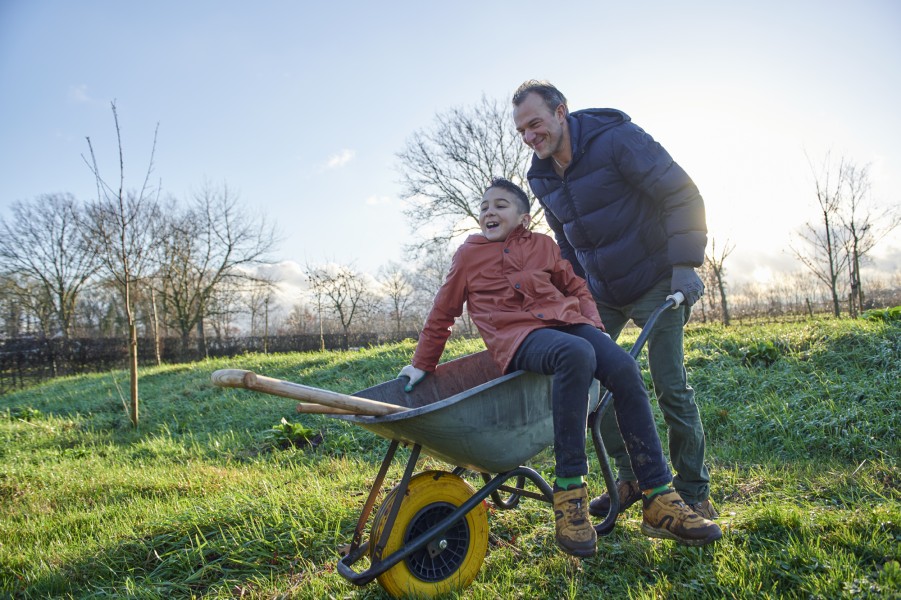  dsc3734 Niels Stomps