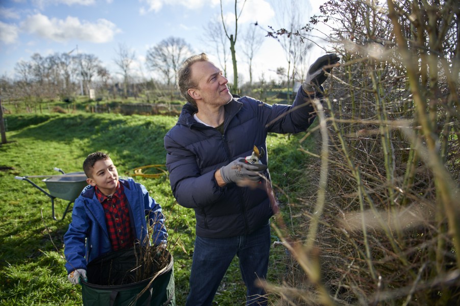 dsc4194 Niels Stomps