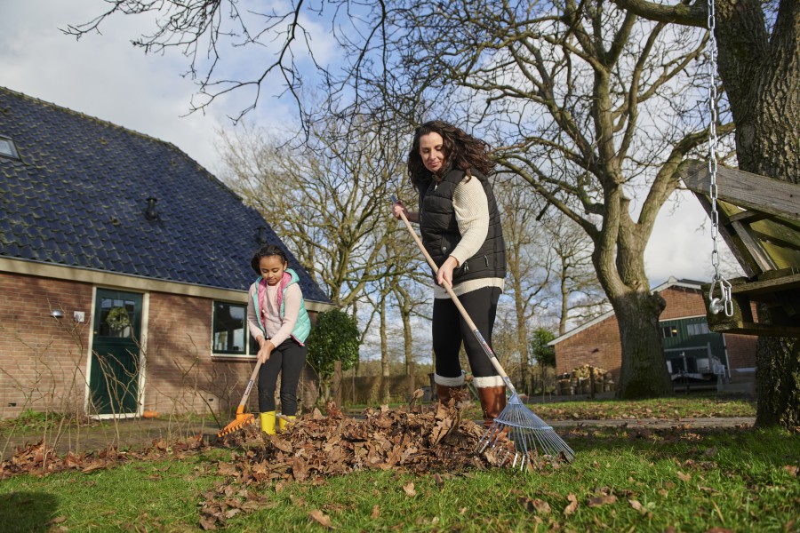  dsc4803 Niels Stomps