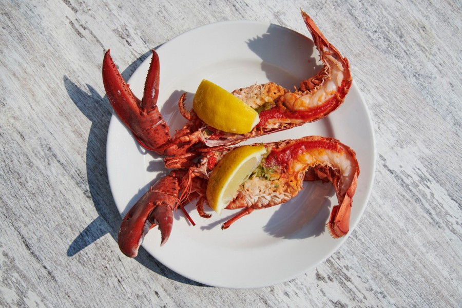 Mutt1osu Niels Stomps