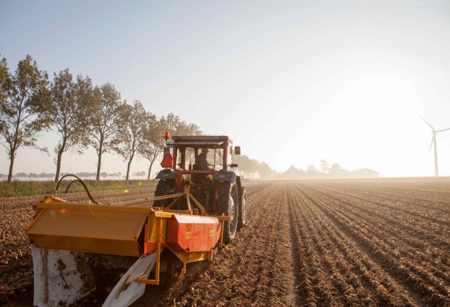 Niels (82)-2 Niels Stomps