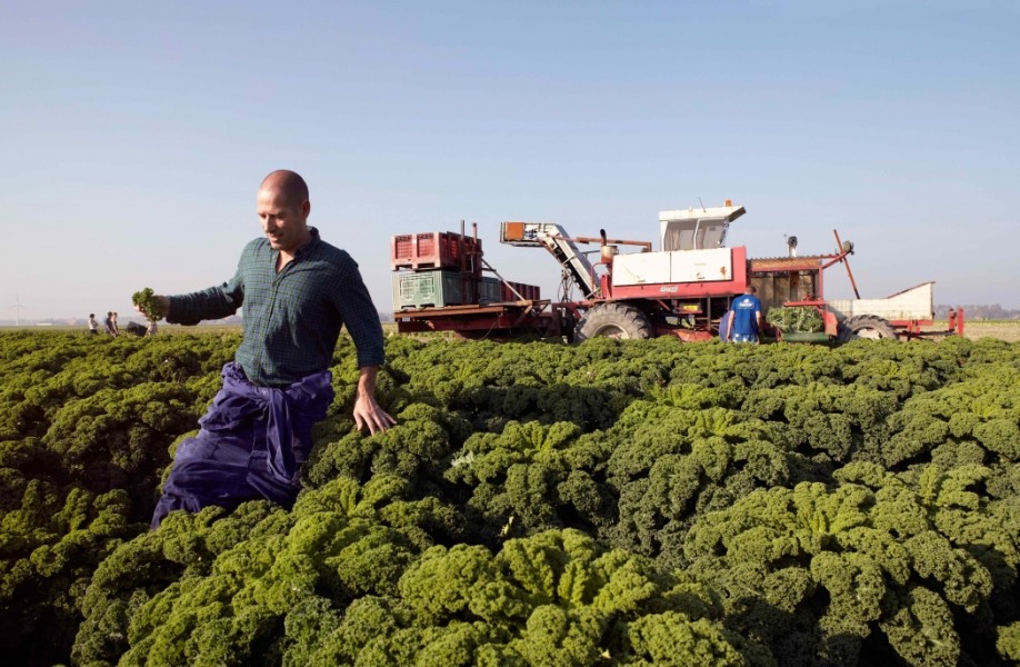 Niels (90)-2 Niels Stomps