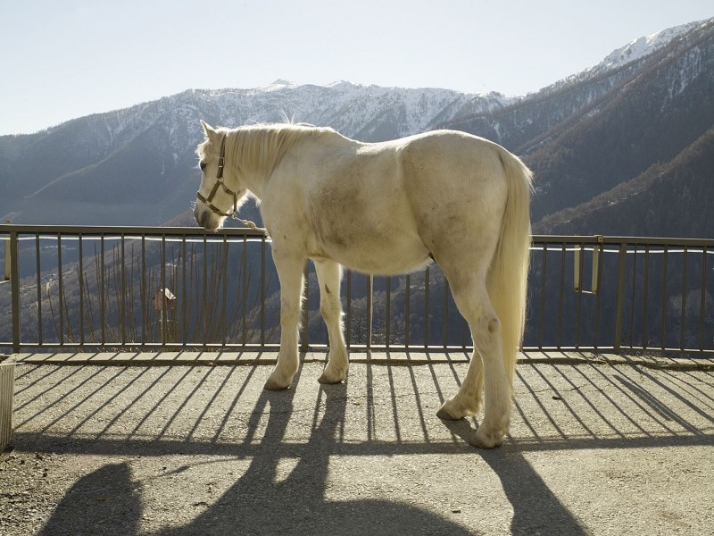 Qye6ndfg Niels Stomps