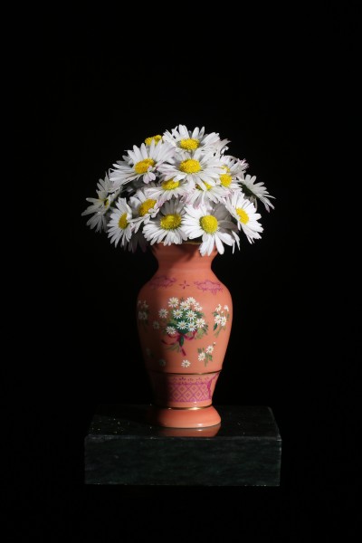 Dancing daisy Niels Hoebers