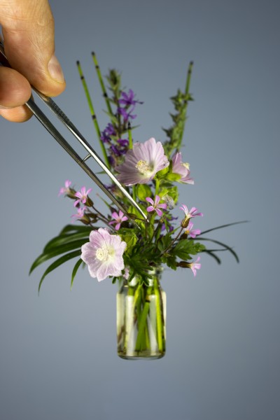 Forget me not hires Niels Hoebers