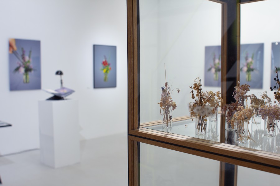 Img 9876 copy Niels Hoebers