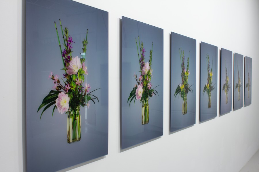 Klein galery expo bloen Niels Hoebers