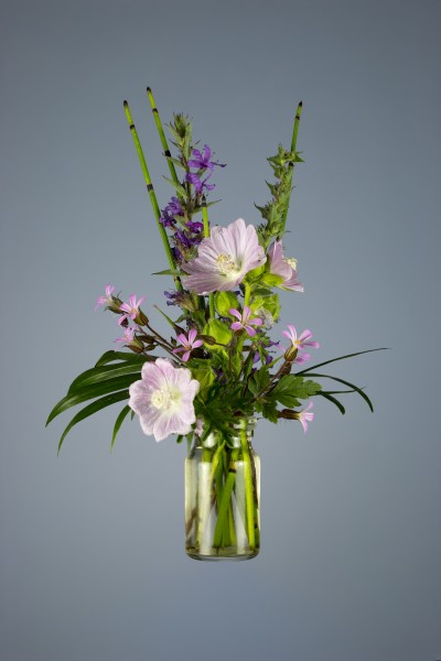 Rot3 dag1 Niels Hoebers