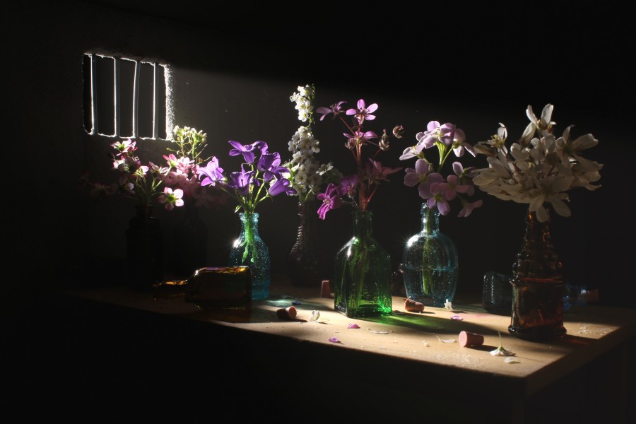 Slowstorie inside Niels Hoebers