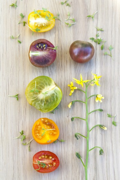 2o- (2)-2 Anna de Leeuw