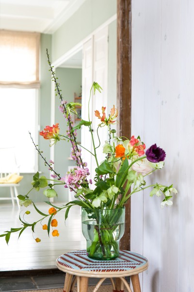  z7f0050 Anna de Leeuw