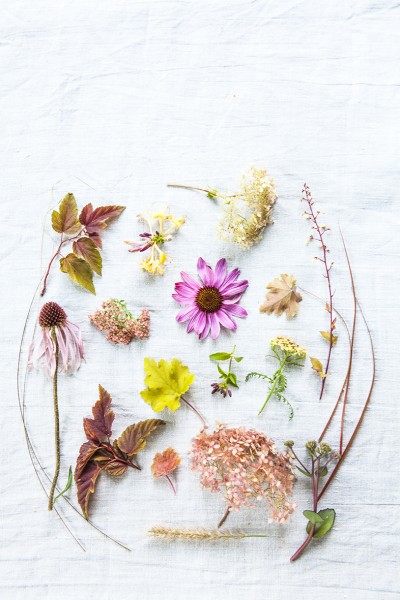 Img 8917 Anna de Leeuw