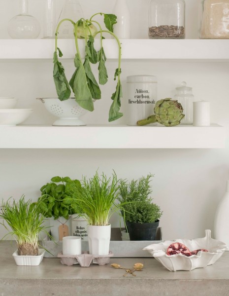 2v Judith Rasenberg - Interior, stills & wardrobe