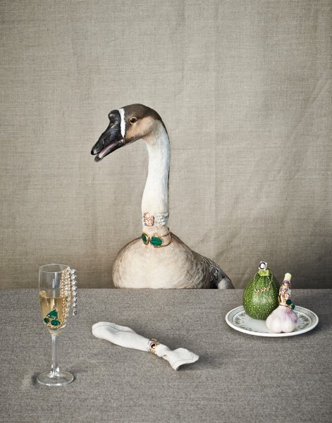 Carinivore-gans-judith-rasenberg Judith Rasenberg - Interior, stills & wardrobe