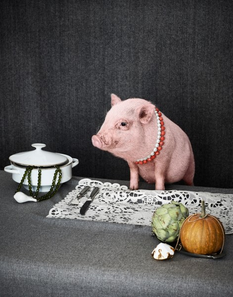 Carnivore-varken judith rasenberg Judith Rasenberg - Interior, stills & wardrobe