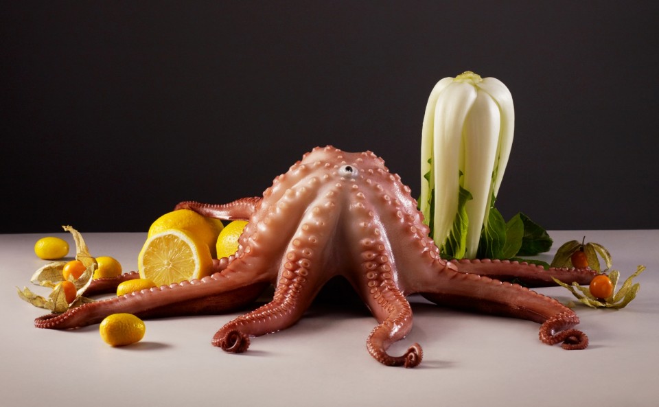 14 Claartje Lindhout - foodstyling