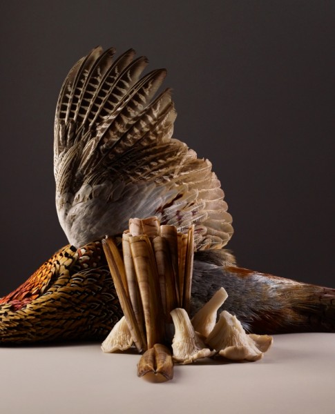 15 Claartje Lindhout - foodstyling