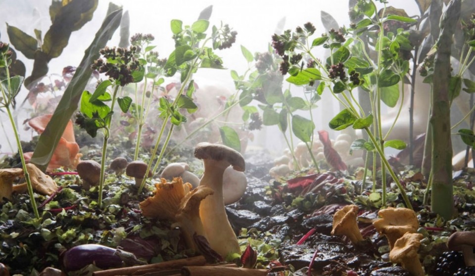 26-2 Claartje Lindhout - foodstyling