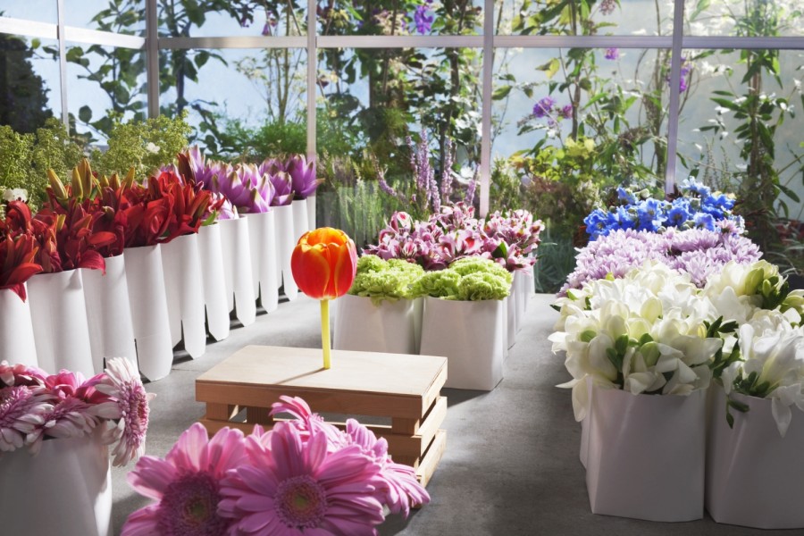 28-2 Claartje Lindhout - foodstyling