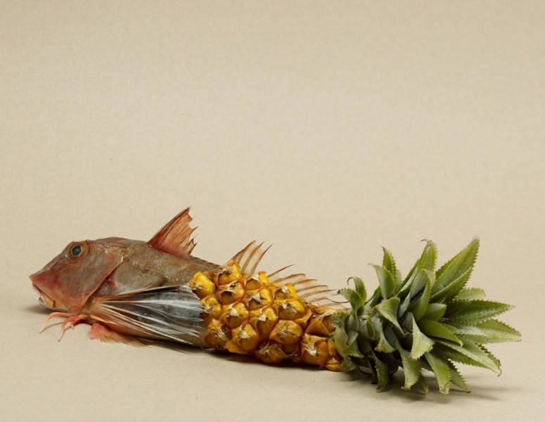 3 Claartje Lindhout - foodstyling