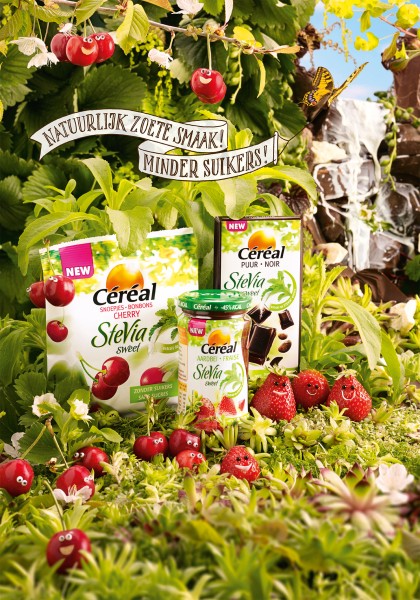 Cerealaardbeichocolastevia-1 Claartje Lindhout - foodstyling