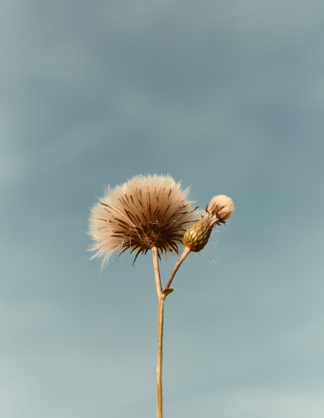 3a7a9270us l Inge de Lange - wardrobe & props