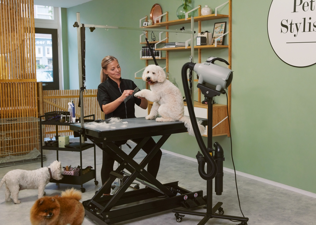 16 honden 087 srgb v2 {title}