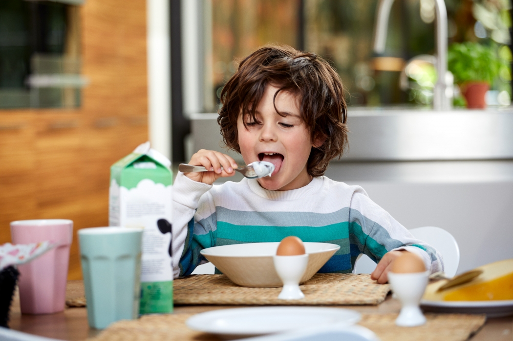 Boy eating breakfast 810a6352 srgb {title}
