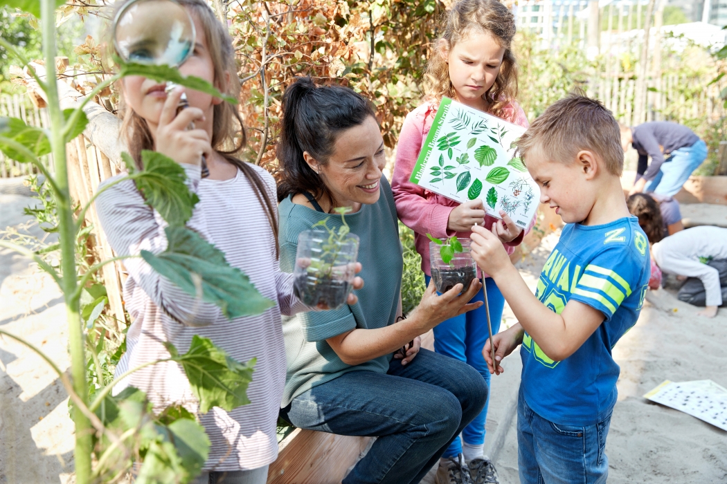 Cs  2105 srgb {title}