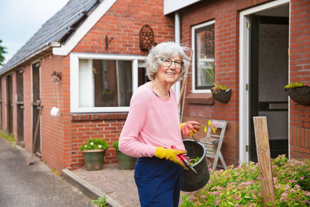 Kpn 0399 c6 srgb {title}