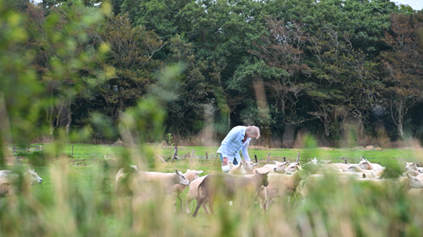 Niels - Restaurant Bij Jef - Texel